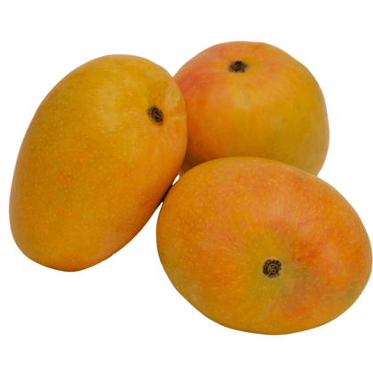 Authentic Ratnagiri Alphonso Mango – Half Dozen(1.3Kg -1.5Kg)