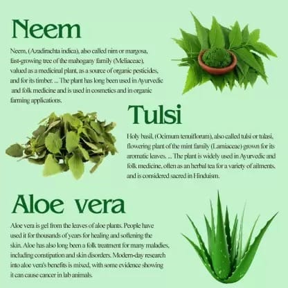 SHIWALYA Natural Aloevera Handmade Soap | Handmade Bathing Soap | Herbal Soap Soft & Radiant Skin | Suitable for All Skin Types (Pack of 2)