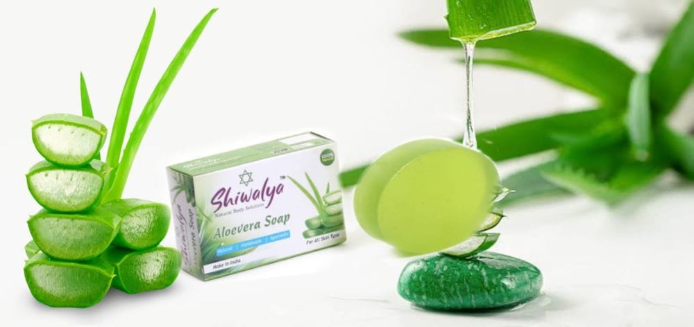 SHIWALYA Natural Aloevera Handmade Soap | Handmade Bathing Soap | Herbal Soap Soft & Radiant Skin | Suitable for All Skin Types (Pack of 6)