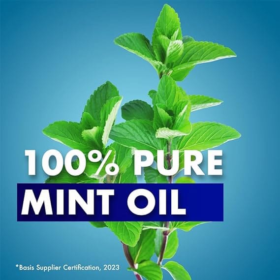 SHIWALYA Natural Cool Mint Soap || Handmade Bathing Soap || Herbal Soft & Radiant Skin || Suitable for All Skin Types (Pack of 4)