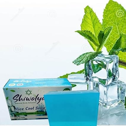 SHIWALYA Natural Cool Mint Soap || Handmade Bathing Soap || Herbal Soft & Radiant Skin || Suitable for All Skin Types (Pack of 6)