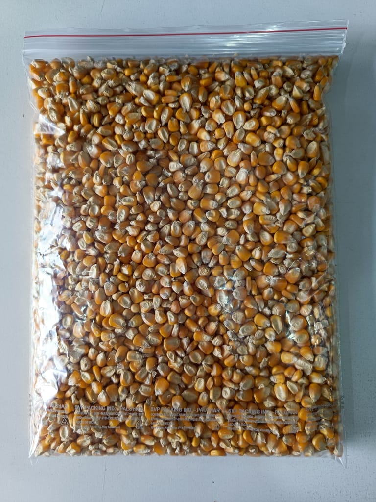 Maize Corn Kernels