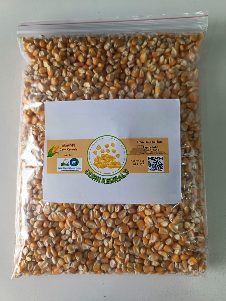 Maize Corn Kernels