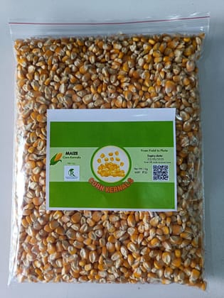 MAIZE CORN KERNELS