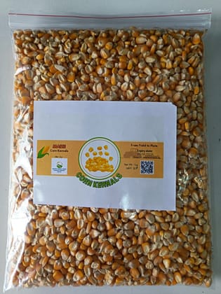 Maize Corn Krenals