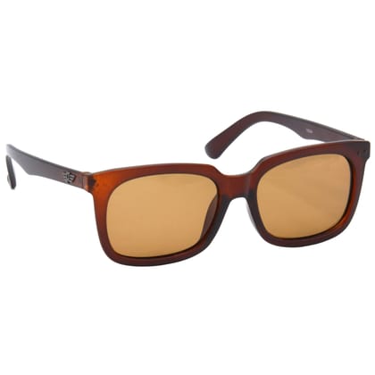 Hrinkar Brown Rectangular Sunglasses Styles Brown Frame Polarized Glasses for Men & Women - HRS506-BWN-BWN-P Hrinkar Brown Rectangular Sunglasses Styles Brown Frame Polarized Glasses for Men & Women - HRS506-BWN-BWN-P