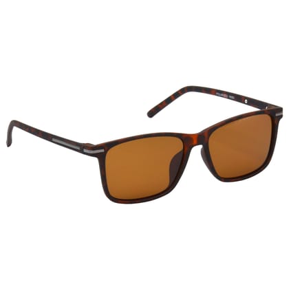 Hrinkar Brown Retro Square Sunglasses Styles Brown Frame Polarized Glasses for Men & Women - HRS513-BWN-BWN