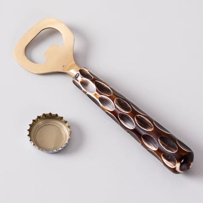 Gallant Stainless Steel & Resin Bottle Opener in Gold Color