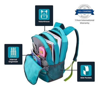 32.5 L Backpack Fizz Sch Bag  (Blue)