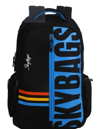 Medium 27 L Backpack Graf  (Black)