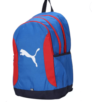 Medium 30 L Backpack One Spacious Unisex Multpurpose bag with Laptop Sleeve & Cat Logo  (Blue)