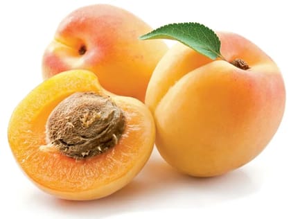 Kullvi Apricot