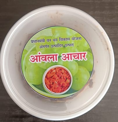 Danteshwari Amla Pickle - 200gm