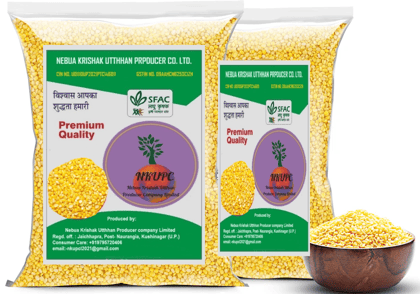 Moong Dal Yellow/Moong Dal Washed (1kg)