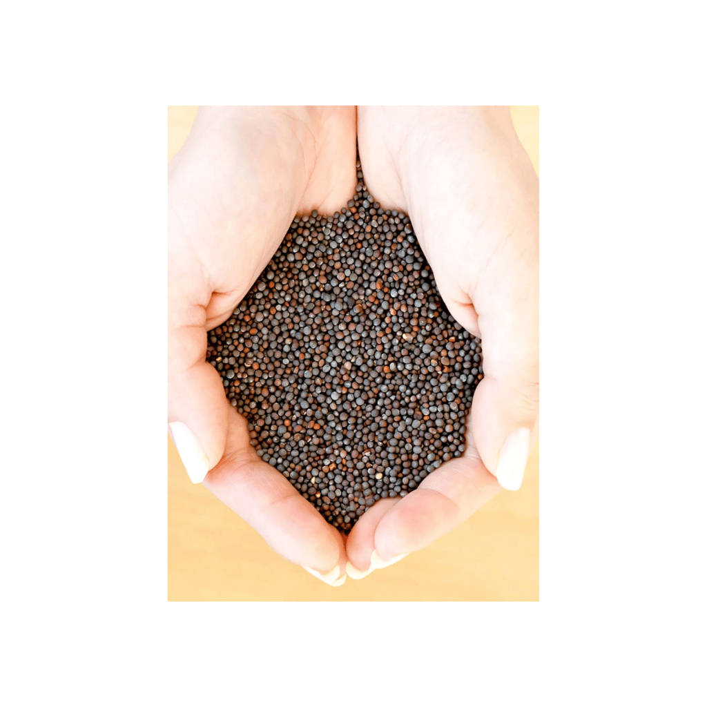 WOOD PRESSED MUSTARD OIL 500ML