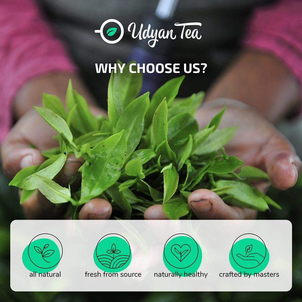 Udyan Tea Himalayan Mist Green Tea | Loose Leaf Natural Green Tea | Refreshing & Healthy Green Tea with Antioxidants