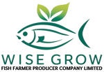 Wise Grow Fish Farmer Producer Company Limited