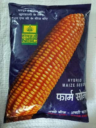 NSC Hyb.Maize, Bio 9544, 4kg