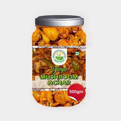 Divya Mushroom Achar (500 gm)