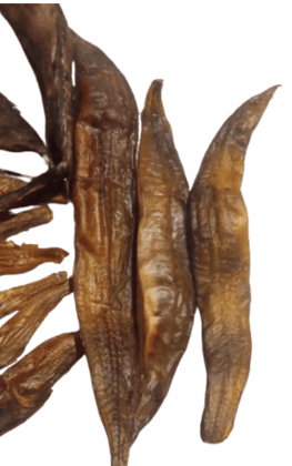 Dried Chingri/Jhinga (Shrimp)