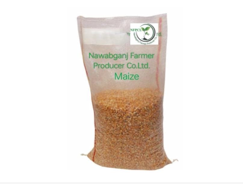 Sabut Makka Grain (Yellow Maize) , Raw Makkai Corn  (1 kg)