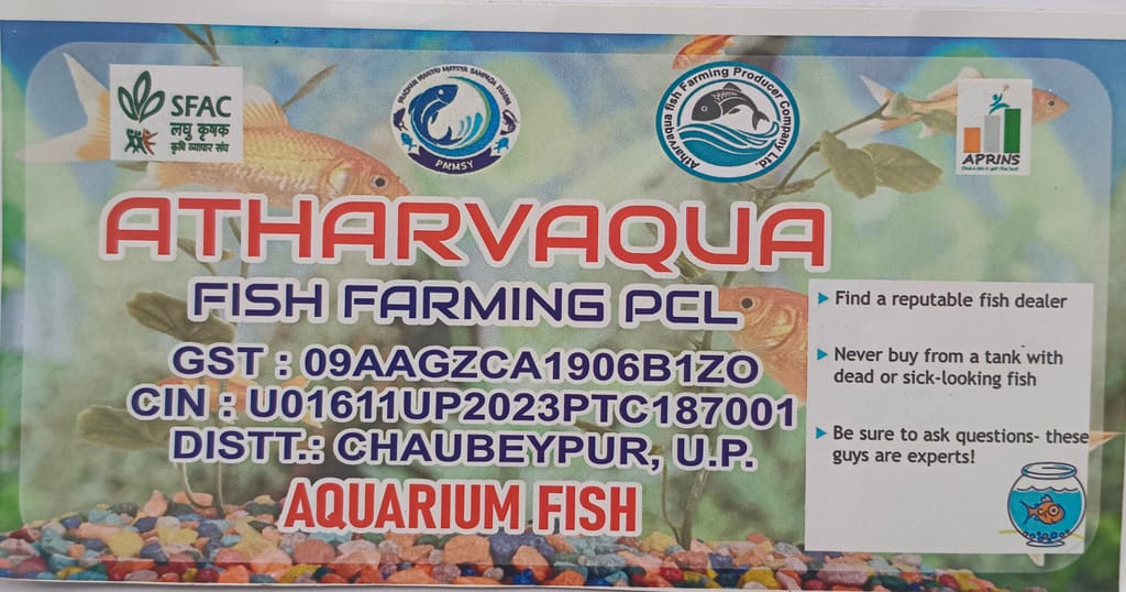 Brand seal