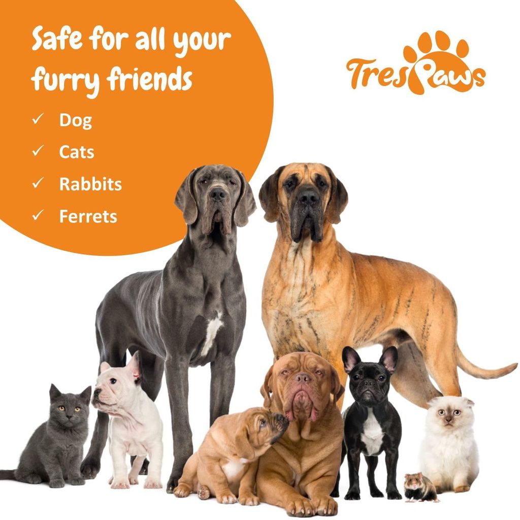 Trespaws Odour Remover Spray for Dogs & Cats - Pet Area Freshener - Pet Odour Eliminator - Bad Smell Remover - 200 ml