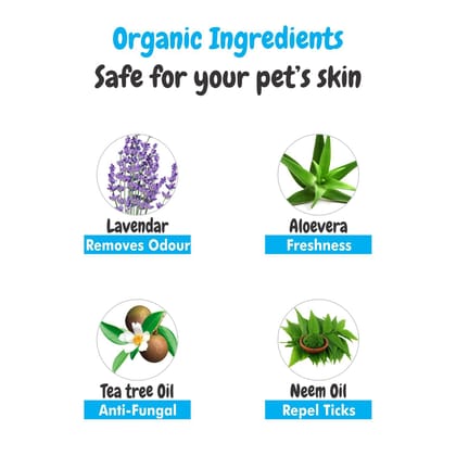 Bscly Kennel Wash - Pet Area Cleaner - 200ML | All-Natural, Eco-Friendly Kennel & Floor Cleaner | Safe for Pets & Children | Multi-Surface & Odor Eliminator