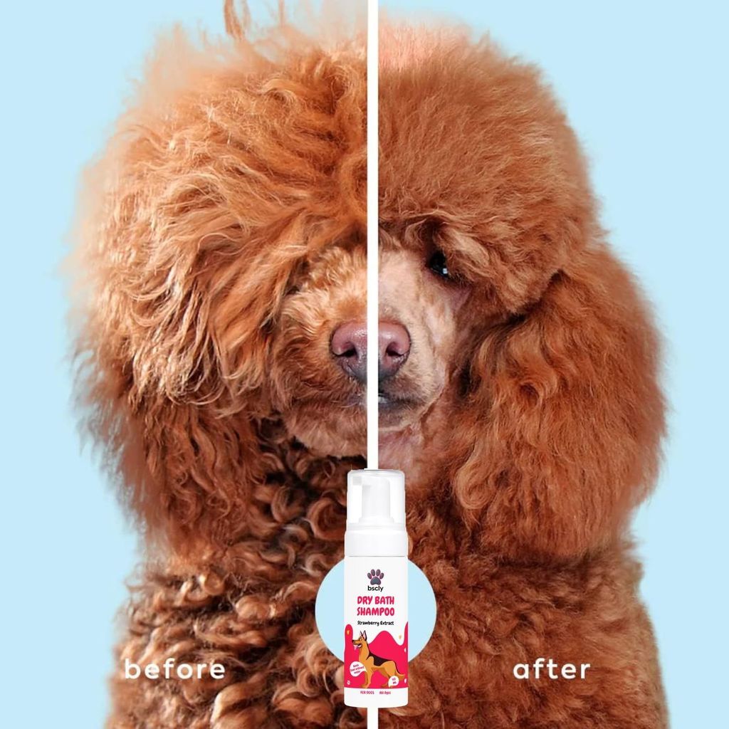 Bscly Dry Bath Foaming Shampoo with Strawberry | Dog Shampoo for Pomeranian, Shih tzu Puppy, German Shepherd, Labrador & Golden Retriever, Dogs Shampoo | 120ml