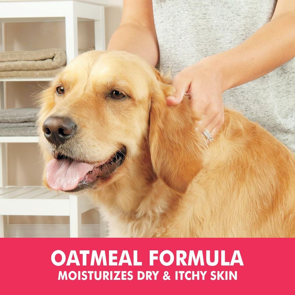 Bscly Dry Bath Foaming Shampoo with Strawberry | Dog Shampoo for Pomeranian, Shih tzu Puppy, German Shepherd, Labrador & Golden Retriever, Dogs Shampoo | 120ml