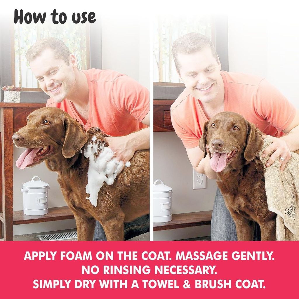 Bscly Dry Bath Foaming Shampoo with Strawberry | Dog Shampoo for Pomeranian, Shih tzu Puppy, German Shepherd, Labrador & Golden Retriever, Dogs Shampoo | 120ml