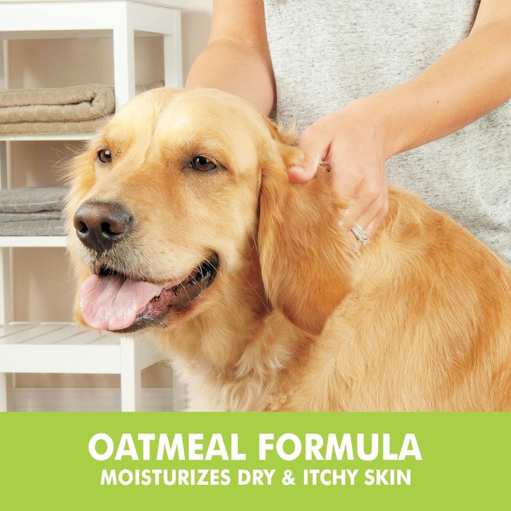 Bscly Dry Bath Foaming Shampoo with Tea Tree | Dog Shampoo for Pomeranian, Shih tzu Puppy, German Shepherd, Labrador & Golden Retriever, Dogs Shampoo | 120ml