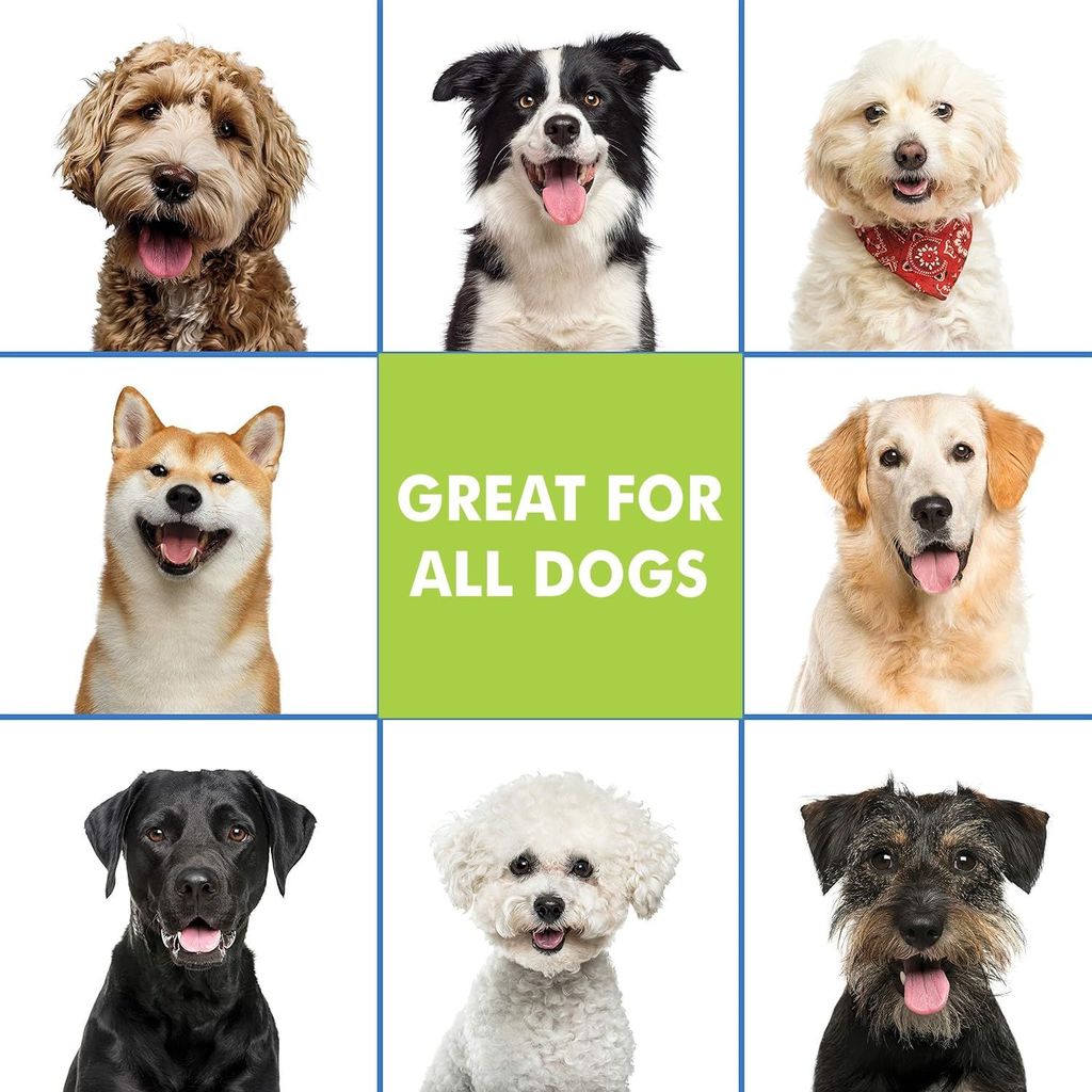 Bscly Dry Bath Foaming Shampoo with Tea Tree | Dog Shampoo for Pomeranian, Shih tzu Puppy, German Shepherd, Labrador & Golden Retriever, Dogs Shampoo | 120ml