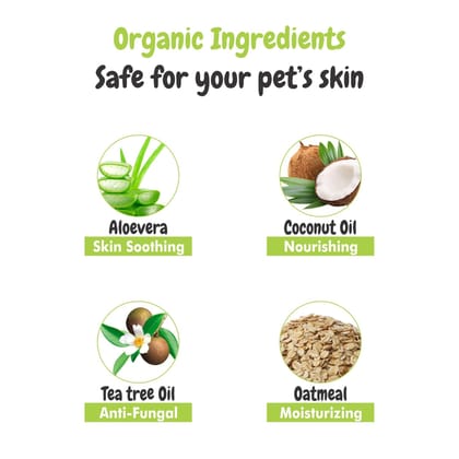 Bscly Dry Bath Foaming Shampoo with Tea Tree | Dog Shampoo for Pomeranian, Shih tzu Puppy, German Shepherd, Labrador & Golden Retriever, Dogs Shampoo | 120ml