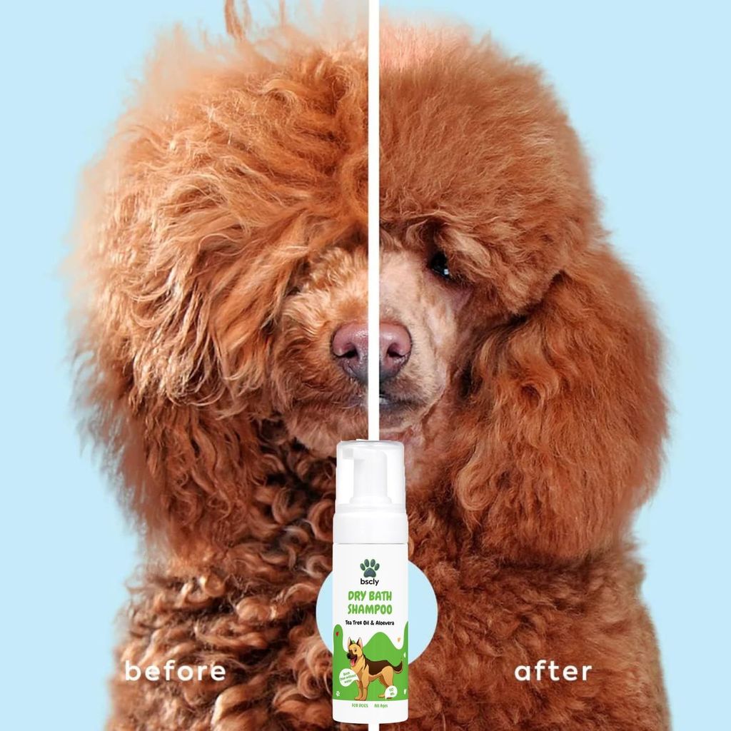 Bscly Dry Bath Foaming Shampoo with Tea Tree | Dog Shampoo for Pomeranian, Shih tzu Puppy, German Shepherd, Labrador & Golden Retriever, Dogs Shampoo | 120ml