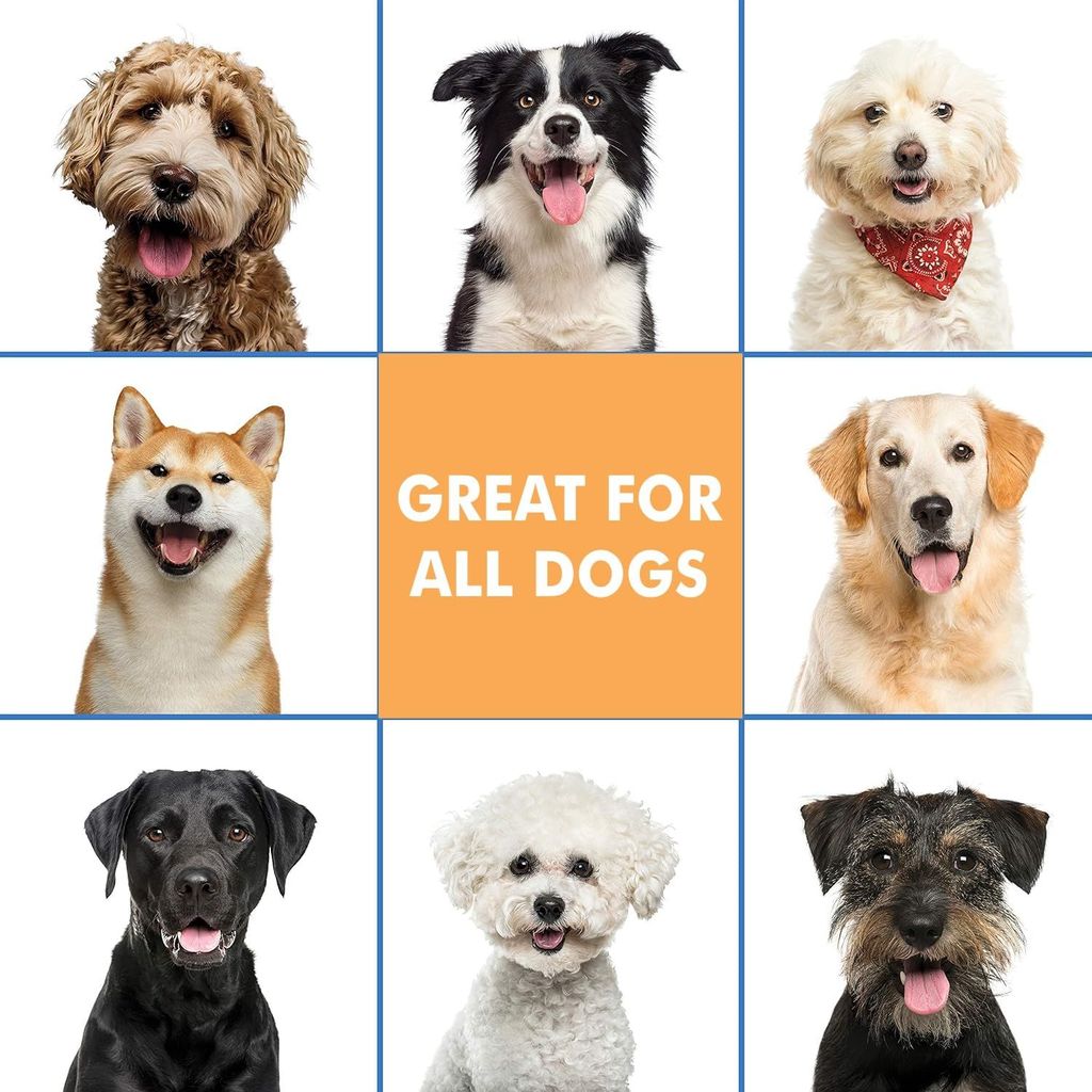 Bscly Dry Bath Foaming Shampoo with Peach | Dog Shampoo for Pomeranian, Shih tzu Puppy, German Shepherd, Labrador & Golden Retriever, Dogs Shampoo | 120ml