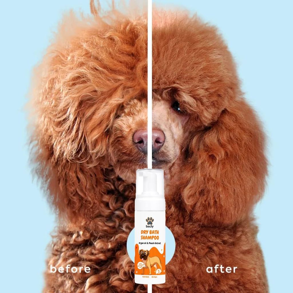 Bscly Dry Bath Foaming Shampoo with Peach | Dog Shampoo for Pomeranian, Shih tzu Puppy, German Shepherd, Labrador & Golden Retriever, Dogs Shampoo | 120ml