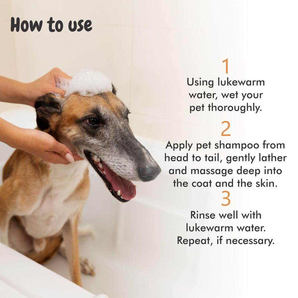 Bscly Itch Calm Dog Shampoo with Neem, Lemongrass & Aloe | Dog Shampoo for Pomeranian, Shih tzu Puppy, German Shepherd, Labrador & Golden Retriever, Dogs Shampoo | 500ml