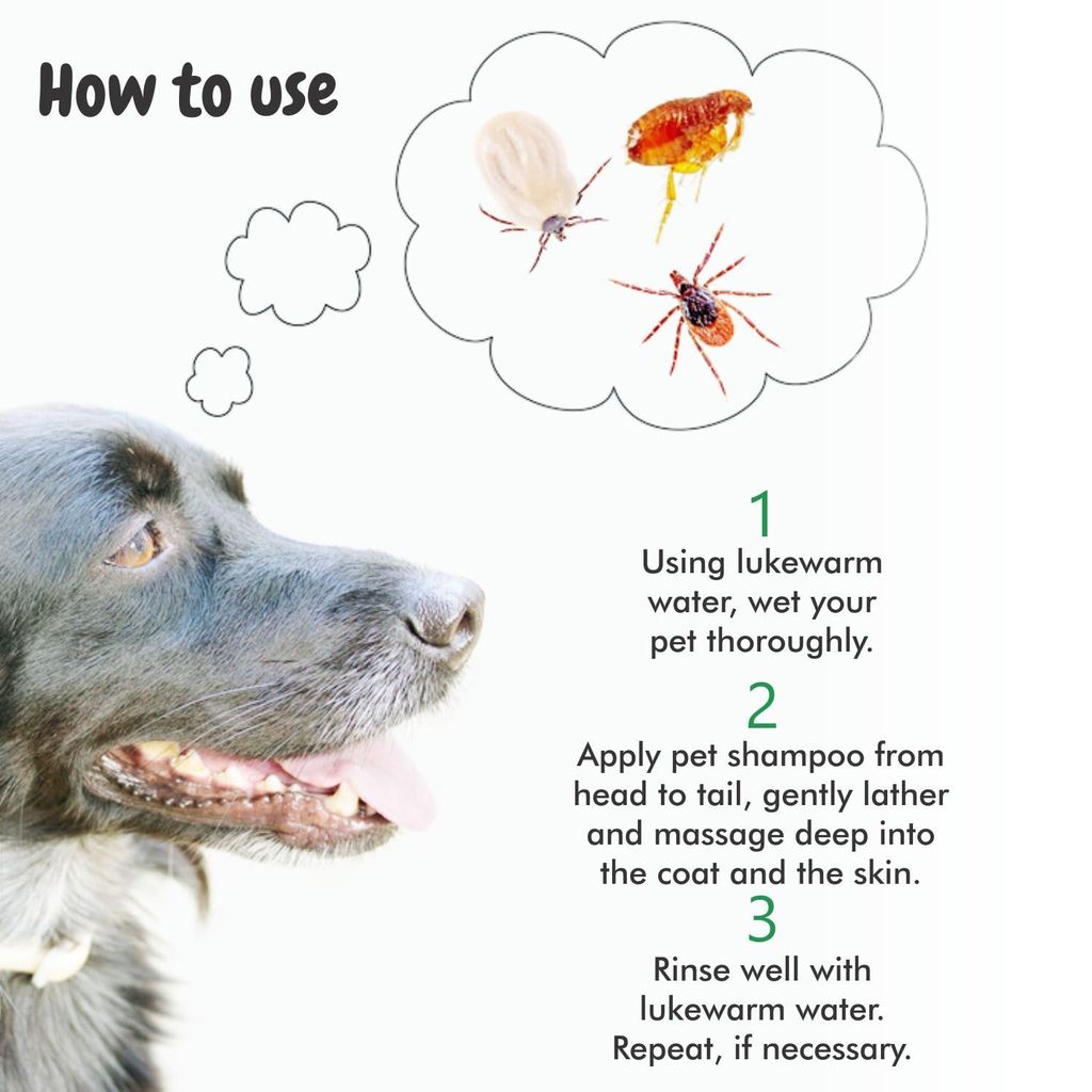 Bscly Tick Off Dog Shampoo 500ml |Ticks & Fleas Prevention | Enriched with Neem & Lemongrass | Moisturizes & Heals Skin | Suitable for Pomeranians to Golden Retrievers