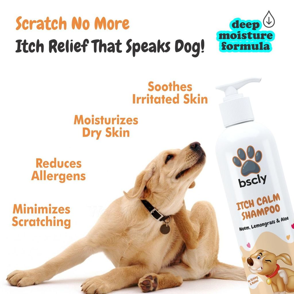 Bscly Itch Calm Shampoo with Neem, Lemongrass & Aloe | Dog Shampoo for Pomeranian, Shih tzu Puppy, German Shepherd, Labrador & Golden Retriever, Dogs Shampoo | 100ml