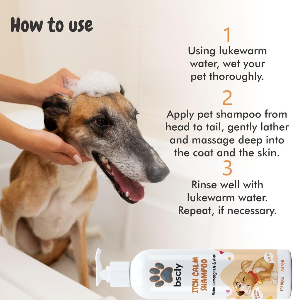 Bscly Itch Calm Shampoo with Neem, Lemongrass & Aloe | Dog Shampoo for Pomeranian, Shih tzu Puppy, German Shepherd, Labrador & Golden Retriever, Dogs Shampoo | 100ml