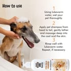 ... ...