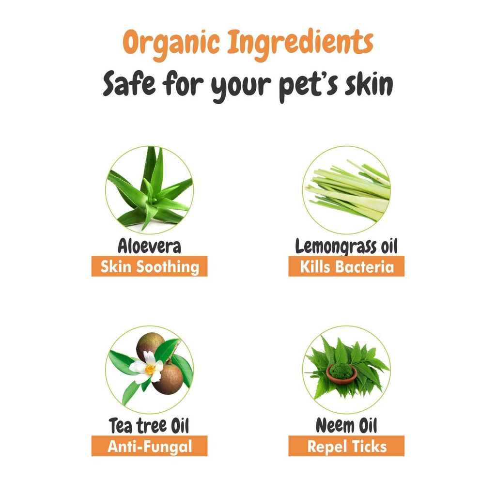 Bscly Itch Calm Shampoo with Neem, Lemongrass & Aloe | Dog Shampoo for Pomeranian, Shih tzu Puppy, German Shepherd, Labrador & Golden Retriever, Dogs Shampoo | 100ml