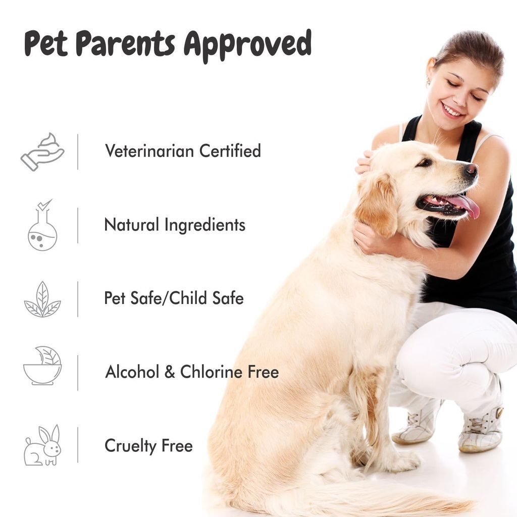 Bscly Itch Calm Shampoo with Neem, Lemongrass & Aloe | Dog Shampoo for Pomeranian, Shih tzu Puppy, German Shepherd, Labrador & Golden Retriever, Dogs Shampoo | 100ml