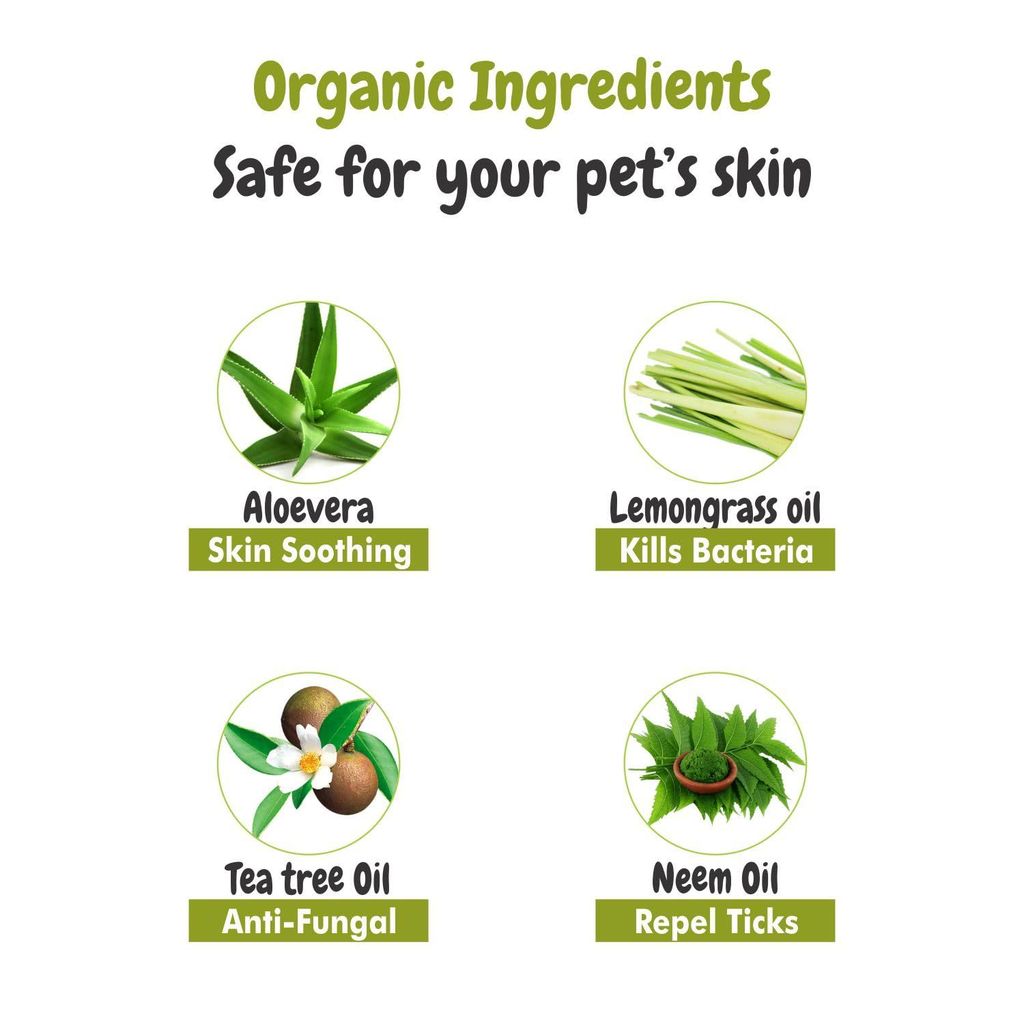 Bscly Tick Off Dog Shampoo - 100ml Ticks & Fleas Prevention - Enriched with Neem & Lemongrass - Moisturizes & Heals Skin - Suitable for Pomeranians to Golden Retrievers