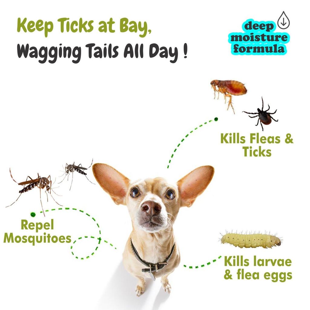 Bscly Tick Off Dog Shampoo - 100ml Ticks & Fleas Prevention - Enriched with Neem & Lemongrass - Moisturizes & Heals Skin - Suitable for Pomeranians to Golden Retrievers