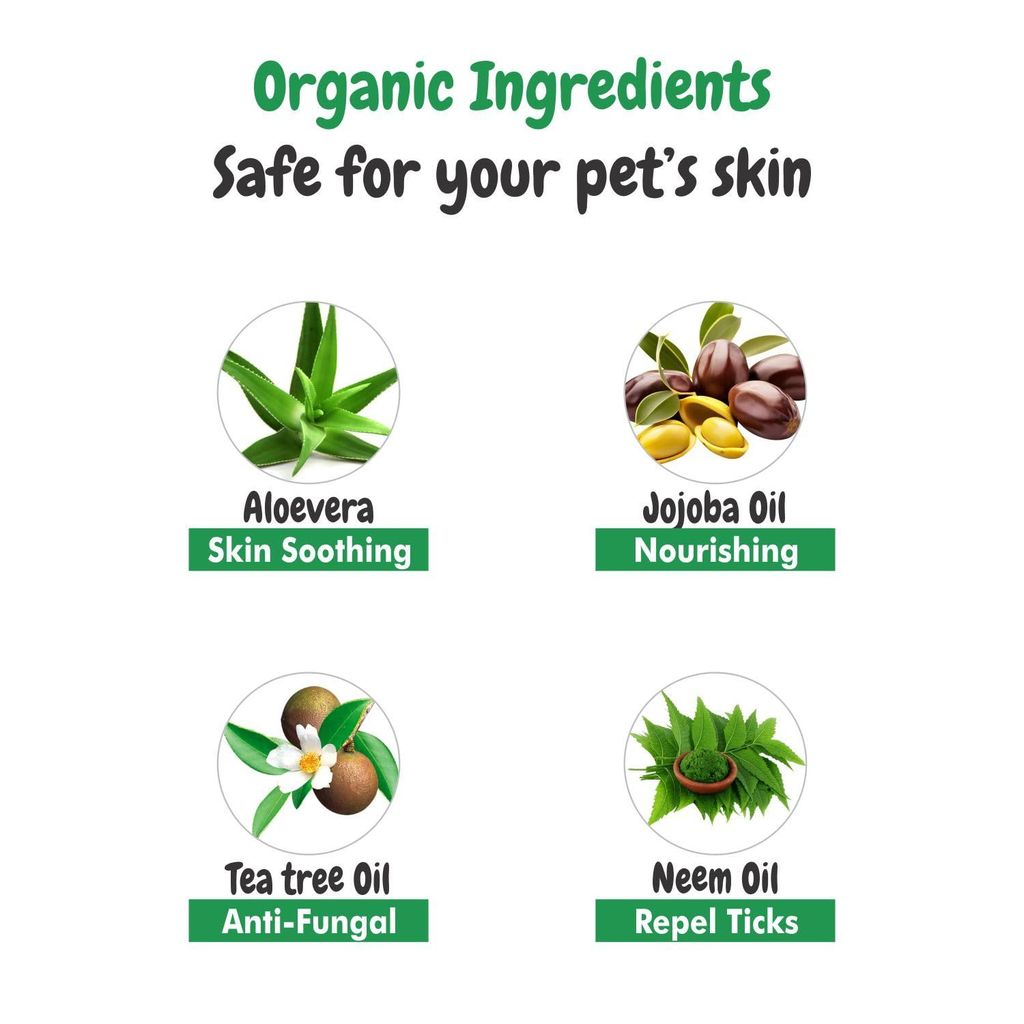 Bscly Short Shine Dog Shampoo - 100ml - Enriched with Aloe Vera & Jojoba Oil - Moisturizes & Heals Skin - Suitable for Pomeranians to Golden Retrievers