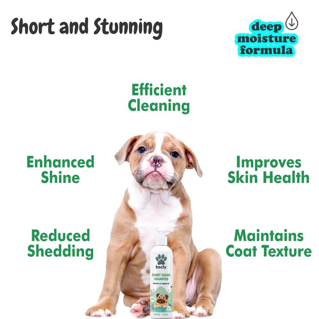 Bscly Short Shine Dog Shampoo - 100ml - Enriched with Aloe Vera & Jojoba Oil - Moisturizes & Heals Skin - Suitable for Pomeranians to Golden Retrievers
