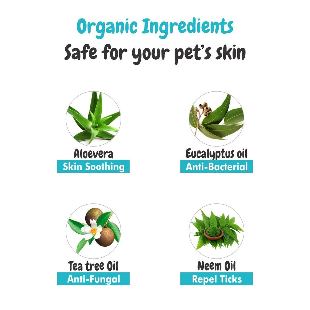 Bscly Bacte Shield Dog Shampoo 100ml | Enriched with Neem, Aloe & Tea Tree Oil | Moisturizes & Heals Skin | Suitable for Pomeranians to Golden Retrievers