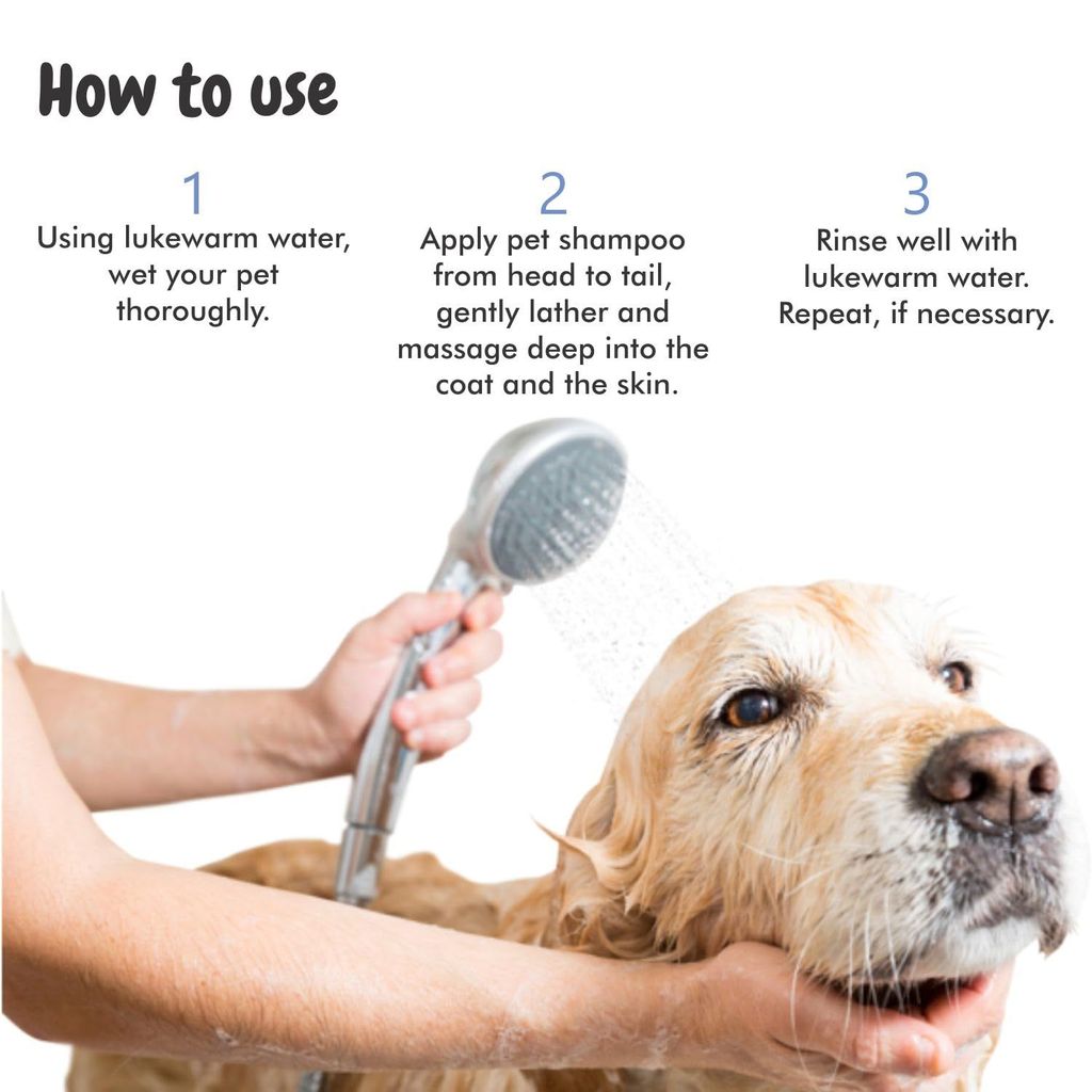 Bscly Bacte Shield Dog Shampoo 100ml | Enriched with Neem, Aloe & Tea Tree Oil | Moisturizes & Heals Skin | Suitable for Pomeranians to Golden Retrievers